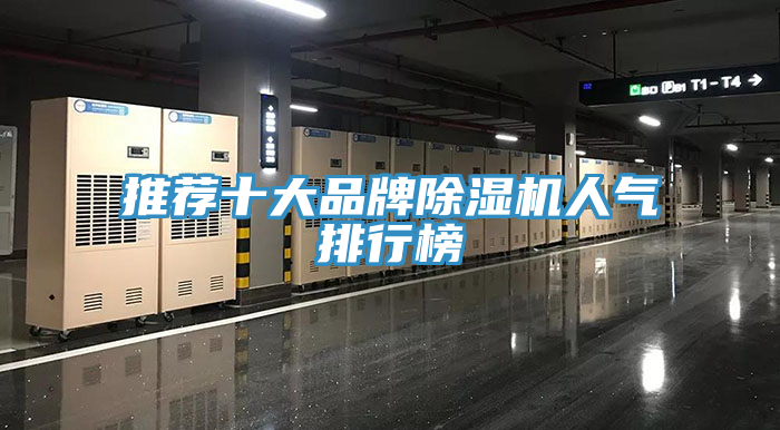 推荐十大品牌猫咪成人官网人气排行榜
