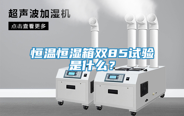 恒温恒湿箱双85试验是什么？