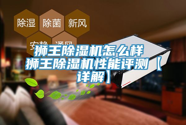 狮王猫咪成人官网怎么样 狮王猫咪成人官网性能评测【详解】