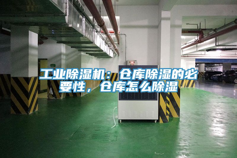工业猫咪成人官网：仓库除湿的必要性，仓库怎么除湿