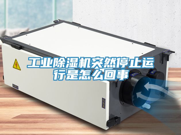 工业猫咪成人官网突然停止运行是怎么回事