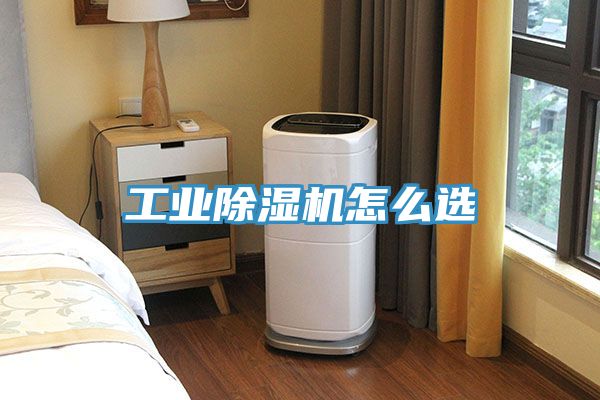 工业猫咪成人官网怎么选