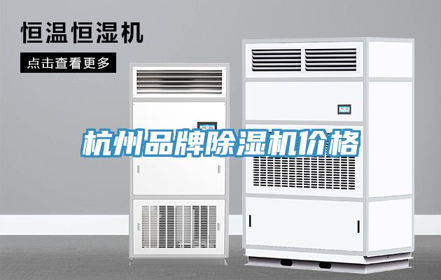 杭州品牌猫咪成人官网价格