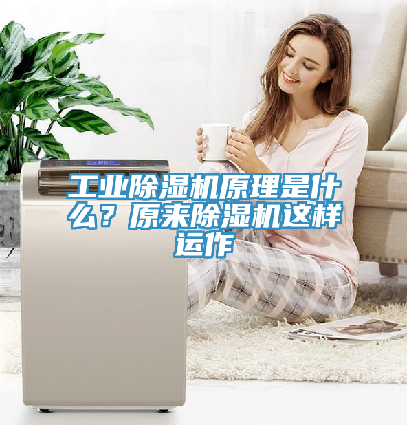 工业猫咪成人官网原理是什么？原来猫咪成人官网这样运作