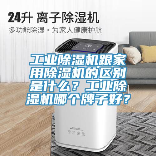 工业猫咪成人官网跟家用猫咪成人官网的区别是什么？工业猫咪成人官网哪个牌子好？