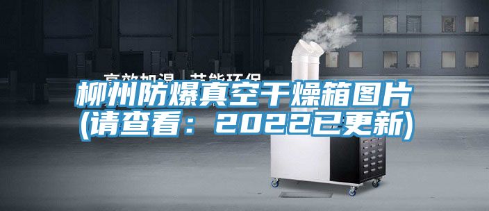 柳州防爆真空干燥箱图片(请查看：2022已更新)