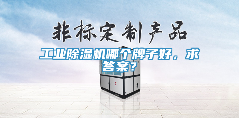 工业猫咪成人官网哪个牌子好，求答案？