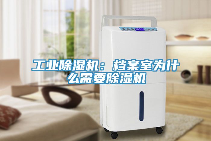 工业猫咪成人官网：档案室为什么需要猫咪成人官网