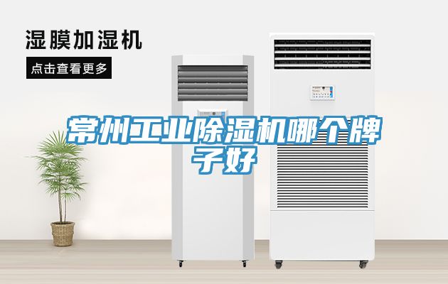 常州工业猫咪成人官网哪个牌子好