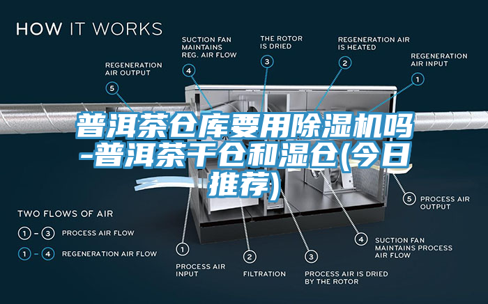 普洱茶仓库要用猫咪成人官网吗-普洱茶干仓和湿仓(今日推荐)