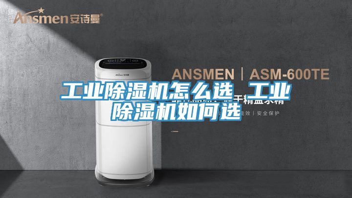 工业猫咪成人官网怎么选 工业猫咪成人官网如何选