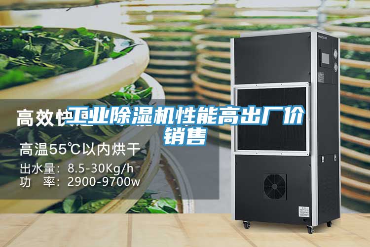 工业猫咪成人官网性能高出厂价销售