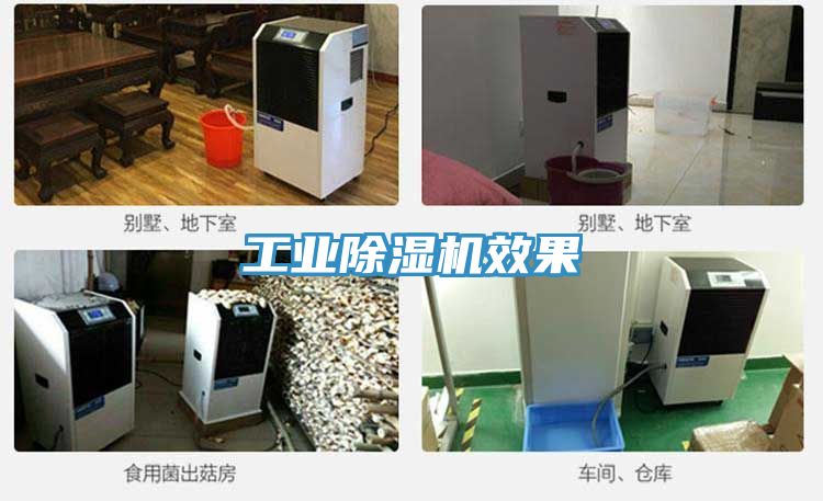 工业猫咪成人官网效果