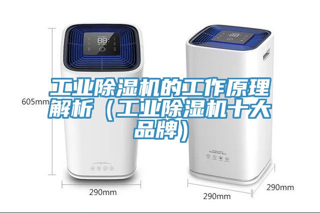 工业猫咪成人官网的工作原理解析（工业猫咪成人官网十大品牌）
