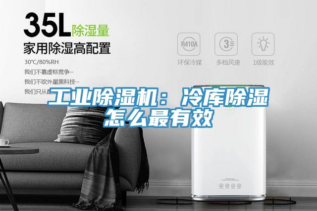工业猫咪成人官网：冷库除湿怎么最有效