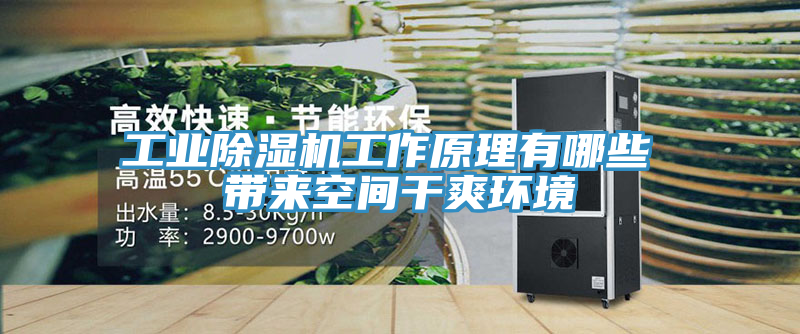 工业猫咪成人官网工作原理有哪些 带来空间干爽环境
