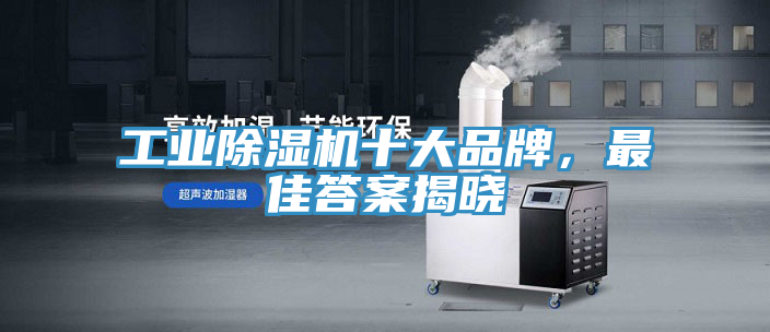 工业猫咪成人官网十大品牌，最佳答案揭晓