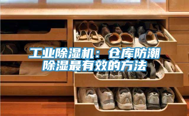 工业猫咪成人官网：仓库防潮除湿最有效的方法