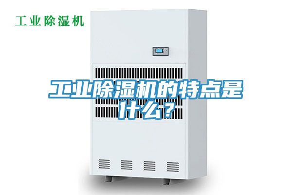 工业猫咪成人官网的特点是什么？