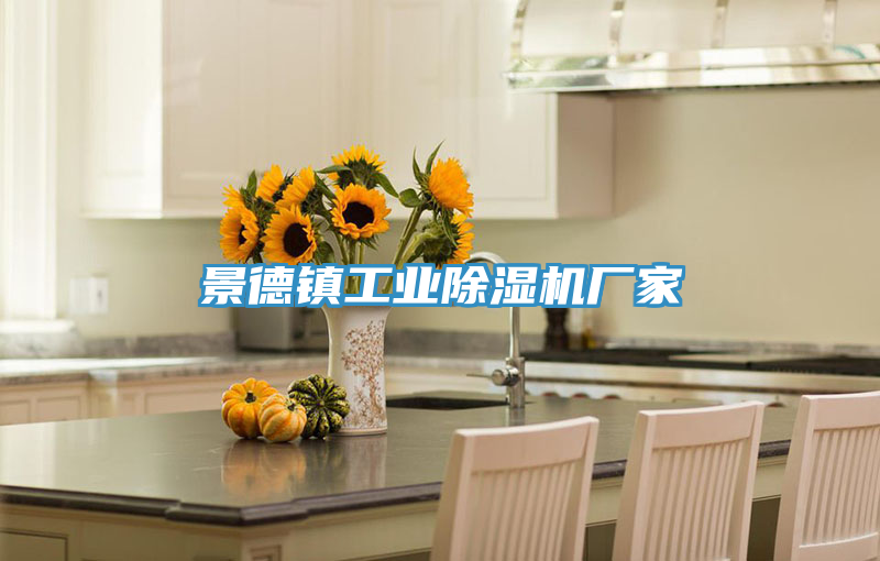 景德镇工业猫咪成人官网厂家