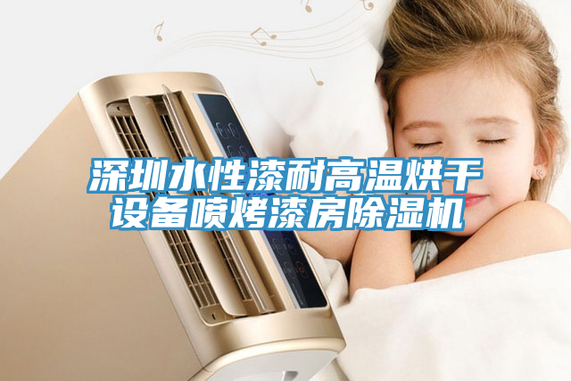 深圳水性漆耐高温烘干设备喷烤漆房猫咪成人官网