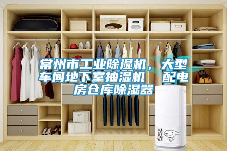 常州市工业猫咪成人官网，大型车间地下室抽湿机  配电房仓库除湿器