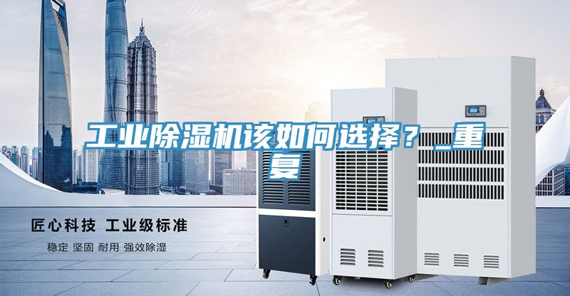 工业猫咪成人官网该如何选择？_重复