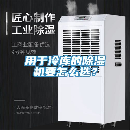 用于冷库的猫咪成人官网要怎么选？