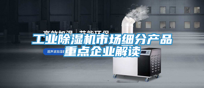工业猫咪成人官网市场细分产品重点企业解读