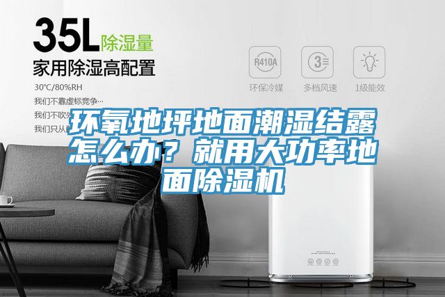 环氧地坪地面潮湿结露怎么办？就用大功率地面猫咪成人官网