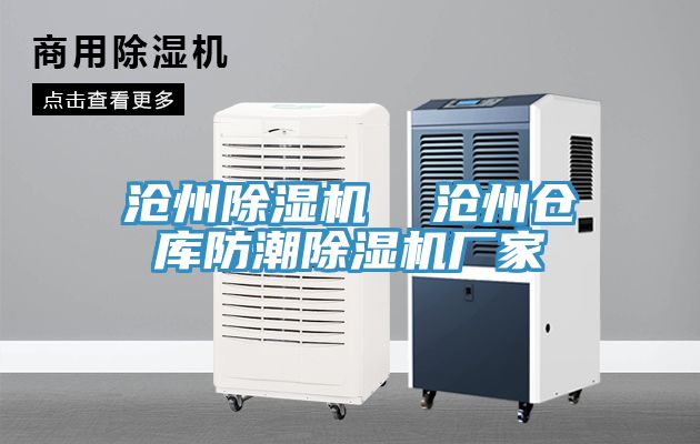 沧州猫咪成人官网  沧州仓库防潮猫咪成人官网厂家