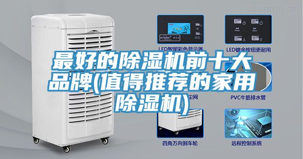 最好的猫咪成人官网前十大品牌(值得推荐的家用猫咪成人官网)