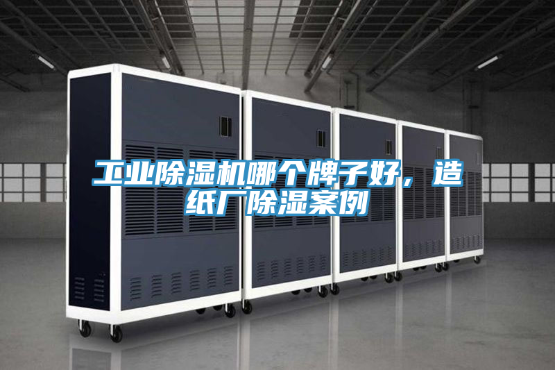 工业猫咪成人官网哪个牌子好，造纸厂除湿案例