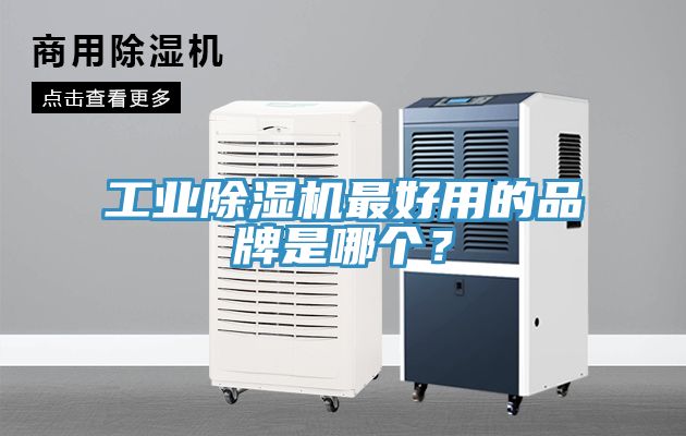 工业猫咪成人官网最好用的品牌是哪个？