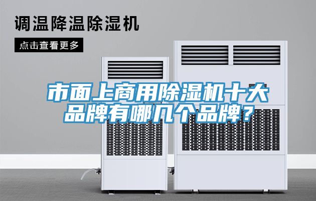 市面上商用猫咪成人官网十大品牌有哪几个品牌？