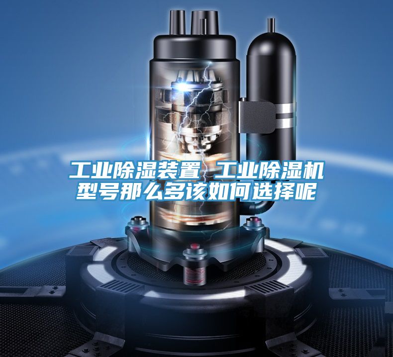 工业除湿装置 工业猫咪成人官网型号那么多该如何选择呢