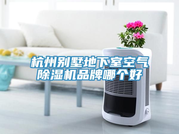 杭州别墅地下室空气猫咪成人官网品牌哪个好