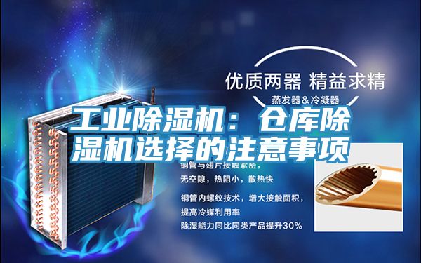 工业猫咪成人官网：仓库猫咪成人官网选择的注意事项