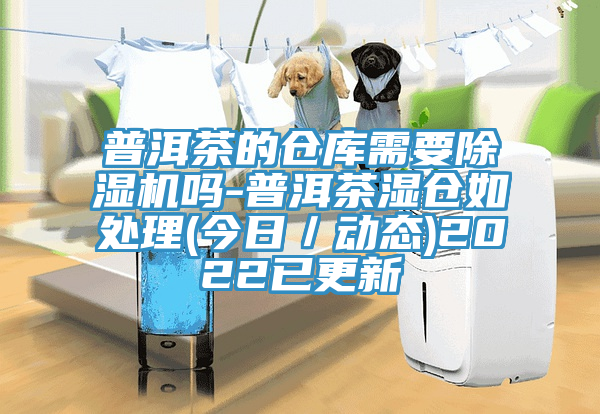 普洱茶的仓库需要猫咪成人官网吗-普洱茶湿仓如处理(今日／动态)2022已更新