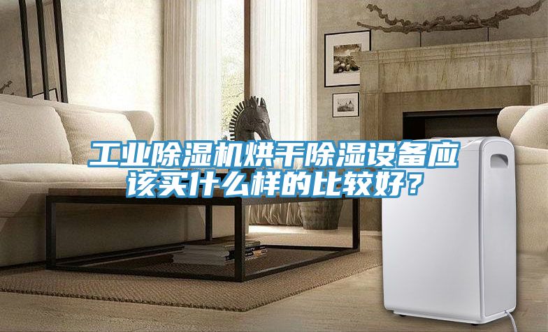工业猫咪成人官网烘干除湿设备应该买什么样的比较好？