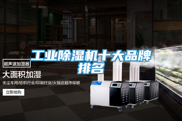 工业猫咪成人官网十大品牌排名