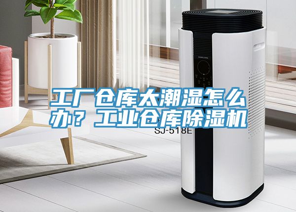 工厂仓库太潮湿怎么办？工业仓库猫咪成人官网