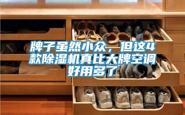 牌子虽然小众，但这4款猫咪成人官网真比大牌空调好用多了