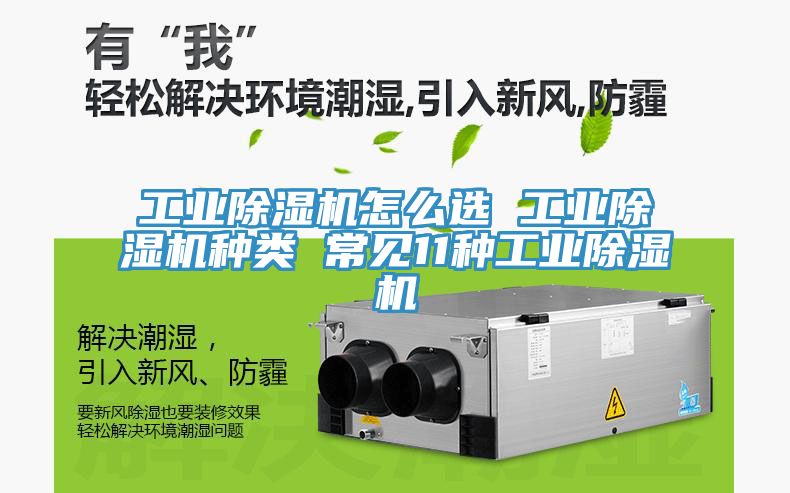 工业猫咪成人官网怎么选 工业猫咪成人官网种类 常见11种工业猫咪成人官网