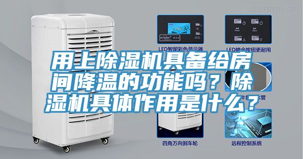用上猫咪成人官网具备给房间降温的功能吗？猫咪成人官网具体作用是什么？