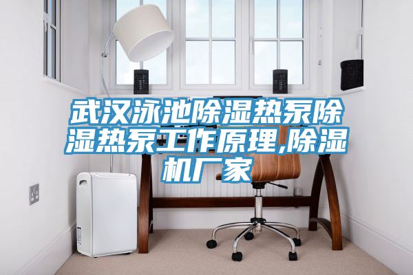 武汉泳池除湿热泵除湿热泵工作原理,猫咪成人官网厂家