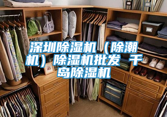 深圳猫咪成人官网（除潮机）猫咪成人官网批发 千岛猫咪成人官网