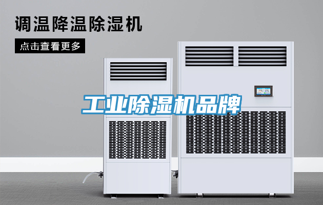 工业猫咪成人官网品牌