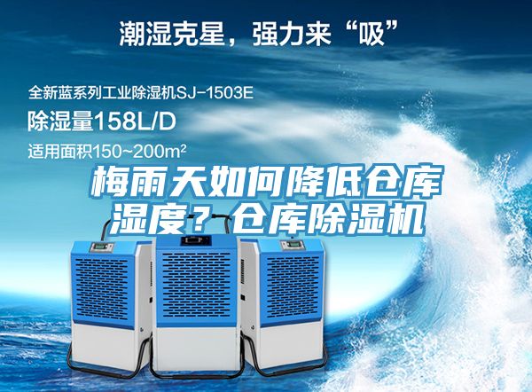 梅雨天如何降低仓库湿度？仓库猫咪成人官网