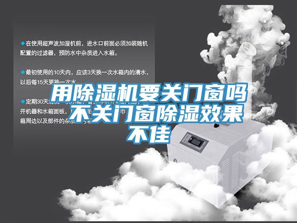用猫咪成人官网要关门窗吗 不关门窗除湿效果不佳